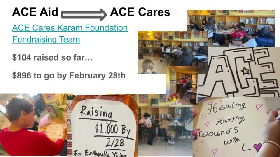ACE Cares Project