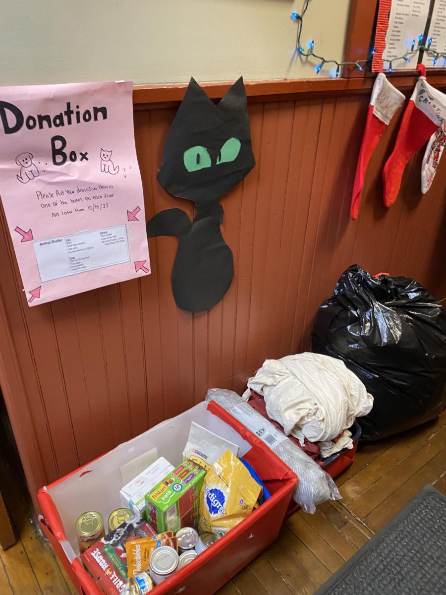 The students from Danielas guidance group collected donations for the PawSafe Rescue Shelter as a community service project.