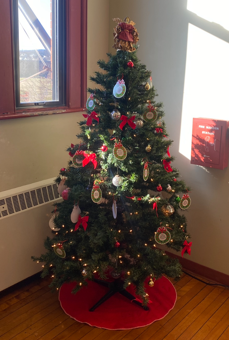 This is one of the Christmas trees put up inside ACE.