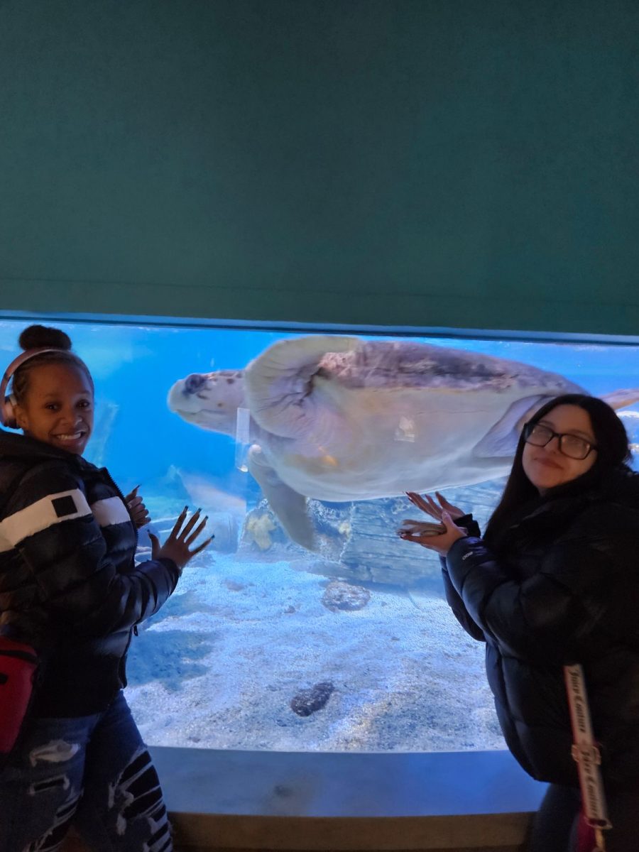 Kiki and Vennessa (ACE students) with a sea turtle