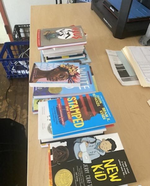 An example of some of the banned books that Kyles Guidance Group received from the Donors Choose.